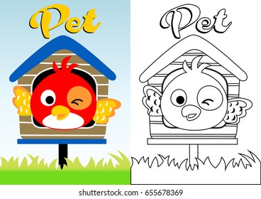 cute bird on cage, vector cartoon illustration, coloring book or page