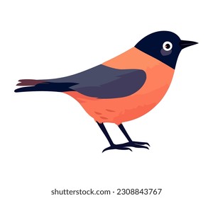 pájaro lindo sobre icono de fondo blanco aislado