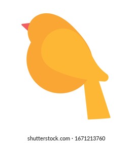 cute bird on white background vector illustration design