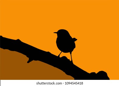 Cute bird. Orange background. Vector image.