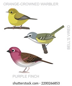 Cute Bird Orange-Crowned Warbler Bell's Vireo Purple Finch Set Cartoon Vector
