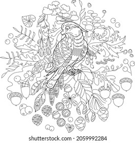 Cute bird owl. Doodle style, black and white background. Funny animal, coloring book pages. Hand drawn illustration in zentangle style for children and adults, tattoo.