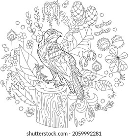 Ave torcida en el bosque. Estilo Doodle, fondo blanco y negro. Animales divertidos, páginas de libros coloreadas. Ilustración dibujada a mano en estilo zentangle para niños y adultos, tatuaje.