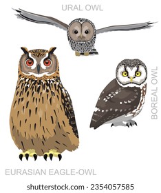 Cute Bird Owlet Eurasian Eagle-Owl Set Cartoon Vector