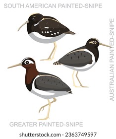 Cute Bird Painted-Snipe Set Cartoon Vector