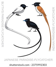 Cute Bird Paradise-Flycatcher Set Cartoon Vector