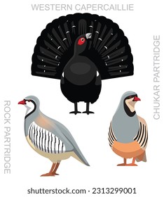 Cute Bird Partridge Capercaillie Hen Set Vector de dibujos animados