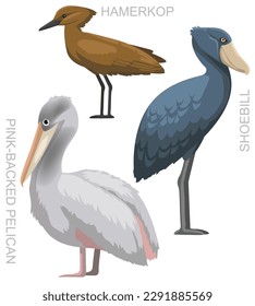 Cute Bird Pelican Shoebill Storch Hamerkop Set Cartoon Vektorgrafik
