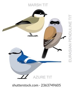 Cute Bird Penduline Tit Set Cartoon Vector