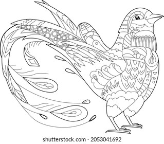 Cute bird pheasant. Doodle style, black and white background. Funny animal, coloring book pages. Hand drawn illustration in zentangle style for children and adults, tattoo.