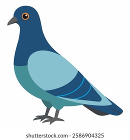 Cute bird pigeon. illustration dove isolated on white background.Suitable for education poster ornithology ,children's books. Pro Vector