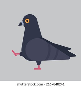 Cute bird pigeon vector illustration