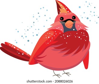 Cute bird red cardinal. Winter Christmas bird with snow. Funny character isolated on white background.  Winter illustration for children and adults.
