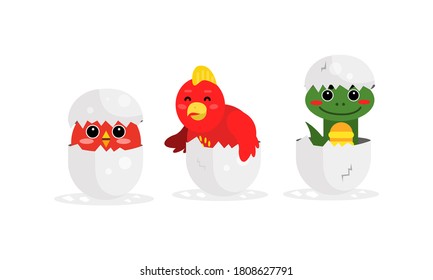 Cute Bird and Reptile Hatching from Egg Vector Set