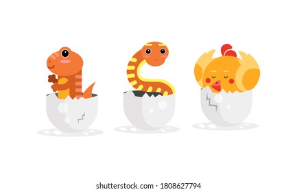 Ave y Hatching de Reptiles de Huevos