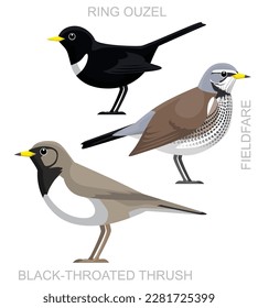 Cute Bird Ring Ouzel Fieldfare Thrush Set Cartoon Vector
