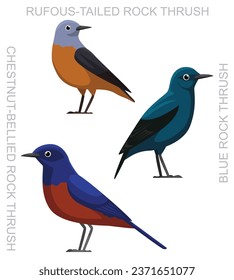 Cute Bird Rock Thrush Set Cartoon Vector