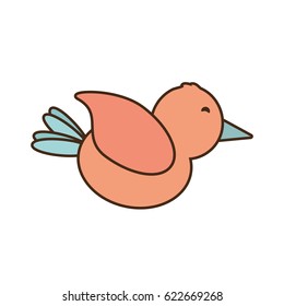 cute bird romantic concept