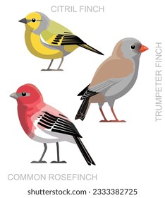 Cute Bird Rosefinch Citril Finch Set Cartoon Vector
