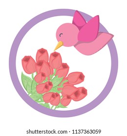 cute bird and roses design