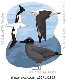 Cute Bird Royal Albatross Set Cartoon Vector