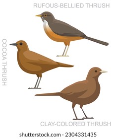 Cute Bird Rufous-Bellied Thrush Cocoa Set Cartoon Vector