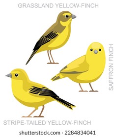 Cute Bird Saffron Finch Yellow Set Cartoon Vector