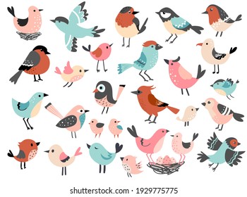 Cute Bird Set, Funny Little Bird Family, Hand Drawn Vector Illustration