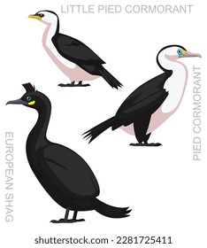 Cute Bird Shag Pied Cormorant Set Cartoon Vector
