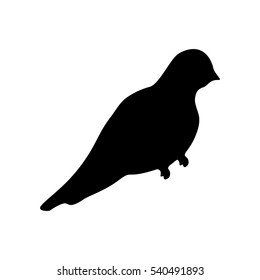 Cute bird silhouette icon vector illustration graphic design