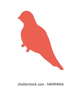 Cute bird silhouette icon vector illustration graphic design