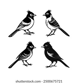 A Cute Bird Silhouette Illustration - Ideal for T-shirt Design, Hoodie Design, Pillow Cover Design, and More