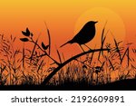 cute bird silhouette landscape graphic