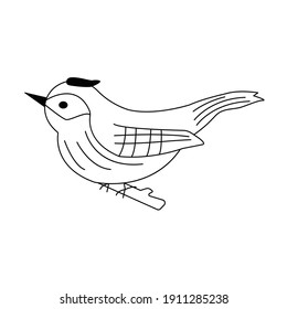 Cute-Vogel sitzt auf einem Ast. Schwarz-Weiß-Vektorgrafik einzeln auf Doodstyle