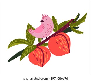 cute bird sitting on a branch with peaches doodle hand drawn style. design of children's clothing, postcards, screensavers. vector illustration isolated on white background