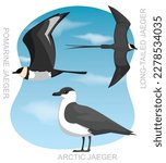 Cute Bird Skua Jaeger Set Cartoon Vector
