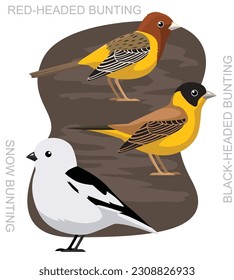 Cute Bird Snow Bunting Corn Crake Cartoon Vector