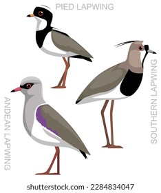 Cute Bird Southern Lapwing Set Cartoon Vector