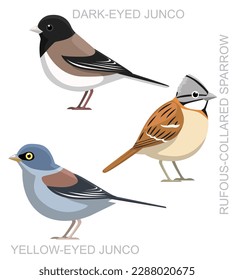 Cute Bird Sparrow Junco Set Cartoon Vector
