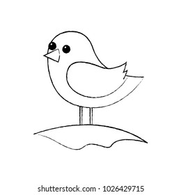cute bird standing in the field cartoon