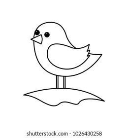 cute bird standing in the field cartoon