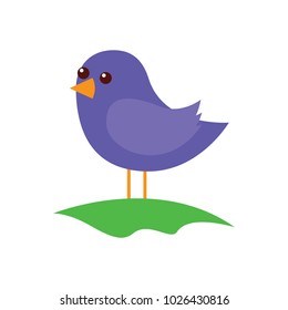 cute bird standing in the field cartoon