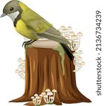Cute bird standing on log illustration