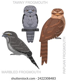 Cute Bird Tawny Frogmouth Set Cartoon Vector