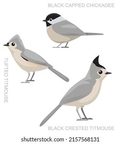 Cute Bird Titmaus Set Cartoon Vektor