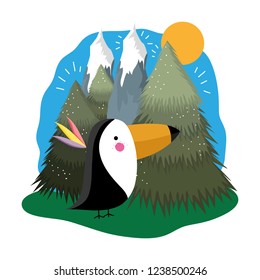 cute bird toucan in the landscape