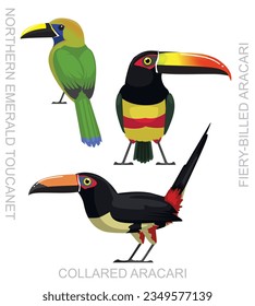 Cute Bird Toucanet Aracari Set Cartoon Vector