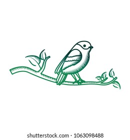 cute bird with tree branche