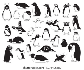 Cute Bird Various Penguin Black and White Cartoon Set Illustration