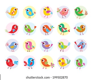 cute bird vector